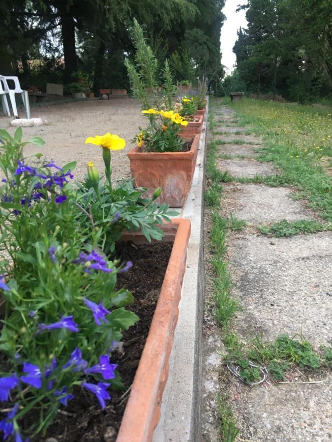 Basisa Bed&Breakfast San Lazzaro di Savena Exterior photo