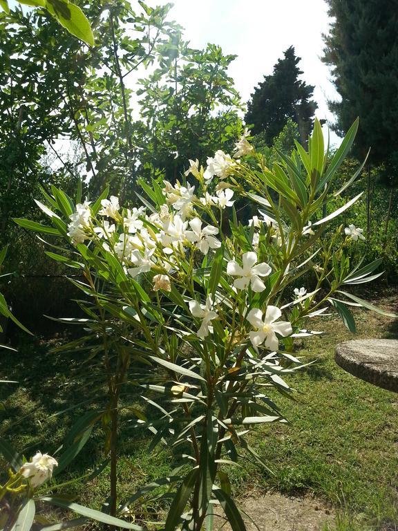 Basisa Bed&Breakfast San Lazzaro di Savena Exterior photo